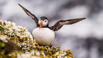 經(jīng)典勵(lì)志文章 含著淚奔跑的人