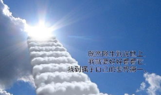 國際現貨的趨勢,你走在哪一條道路上