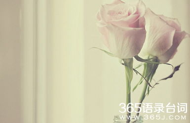 母愛是一張飽滿的弓