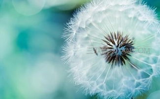 感恩勵志 每一位母親都值得被尊重